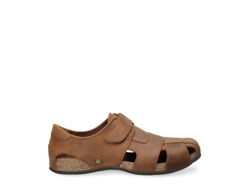 Panama Jack - Fletcher Basics C5 - Braun 