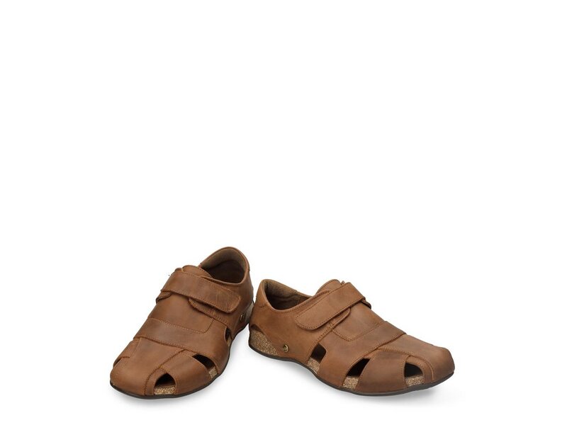 Panama Jack - Fletcher Basics C5 - Braun 