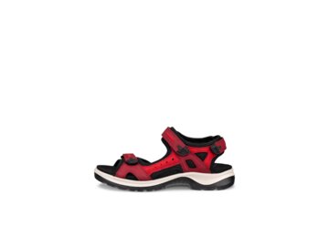 Ecco - Offroad - Rot