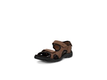 Ecco - Hike M - Braun