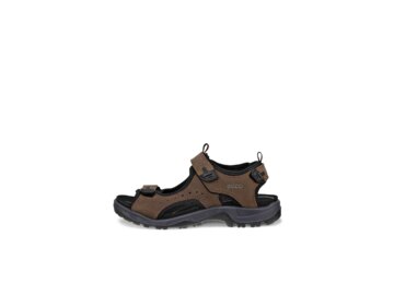 Ecco - Offroad - Braun
