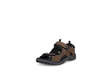 Ecco - Offroad - Braun