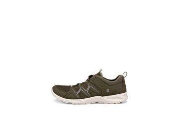 Ecco - Terracruise LT - Grün
