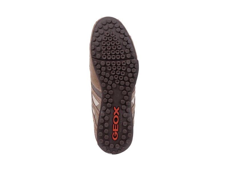  Geox - U SNAKE K - Beige 